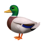 Duck Emoji 【Copy and Paste】