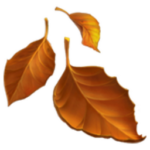 Fallen Leaf Emoji 【Meaning, Copy and Paste】